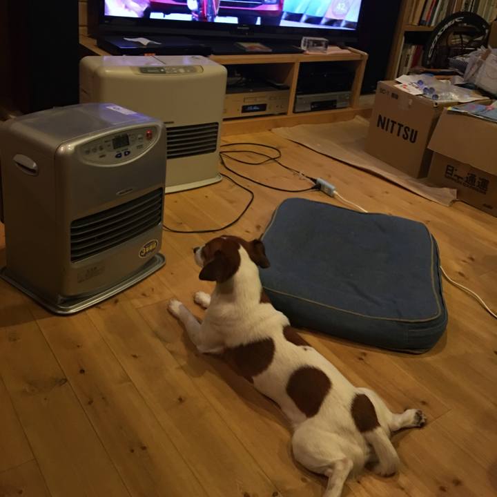 Caebe4b7 ee44 46be 9e4b b80e5cd813e8 1511650242827