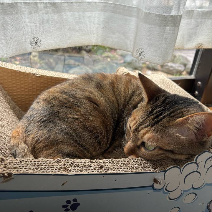 Caebf0bb fbf5 43a6 bd03 bb5e96014307 1713748409837