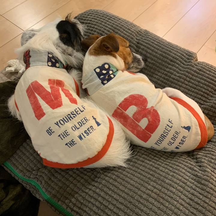 Caec0ff6 7f33 473c b521 41b9109bb85f 1571311586627