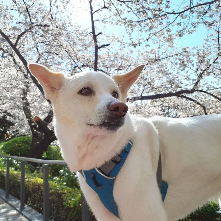 Caec3088 d8da 4a4d 8b86 7f467b508806 1648946570028