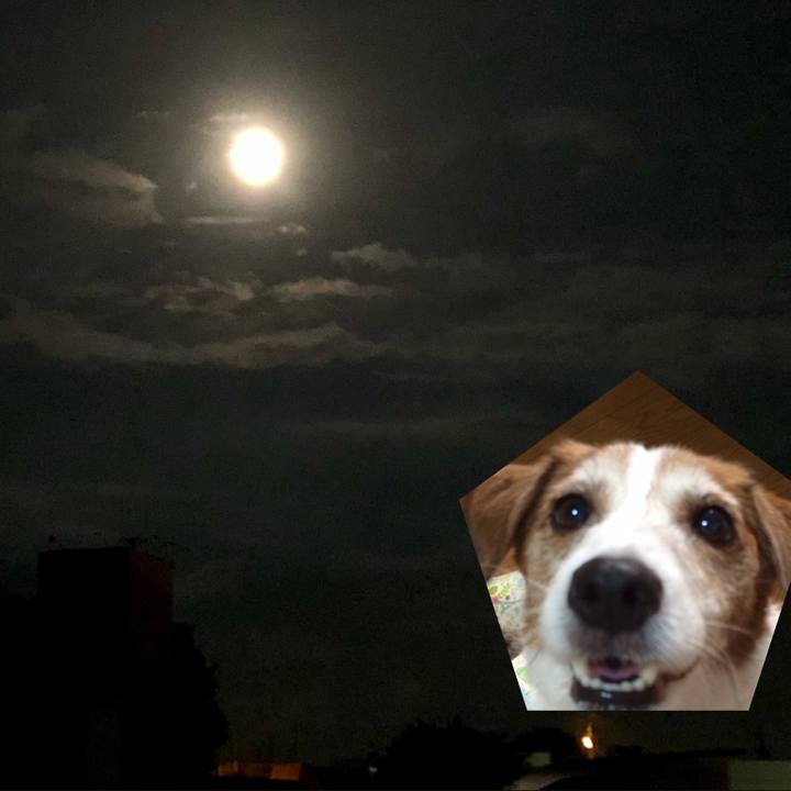 Caec3d64 88ab 4197 a273 cde525c2eb9f 1537790002389