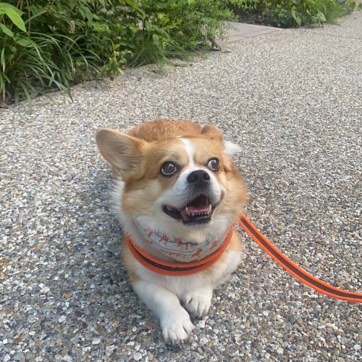 Caeca2fc 90bb 4a52 8331 babb75c7689b 1755591600570