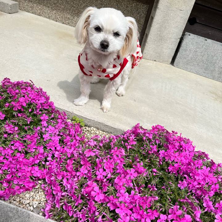 Caecbb69 5870 4376 9726 9452478a4add 1680676784263