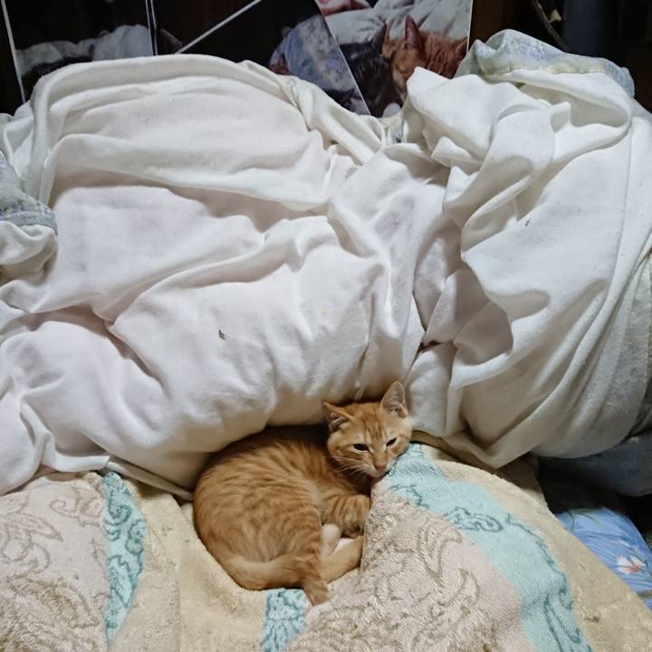 Caece73f ff77 4c97 af3a 8c47bdd63b94 1631793407903