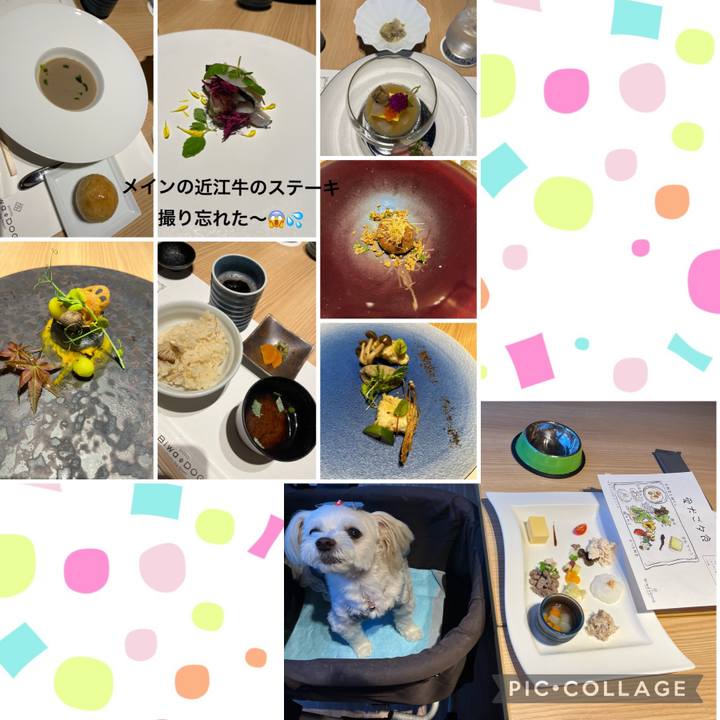 Caed265a fff9 4ed3 8d99 5790c6cf4551 1696421038153