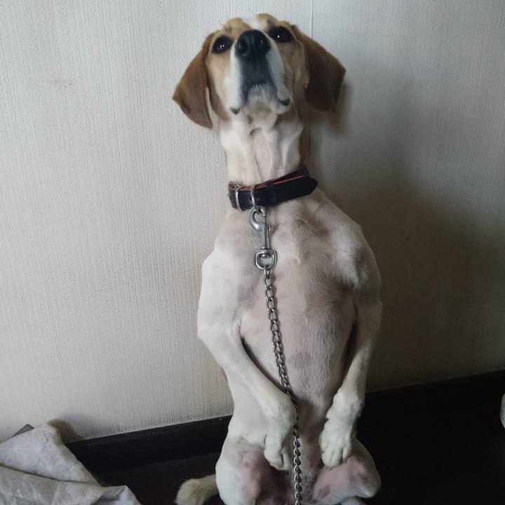 Caed26bf 5c9a 45ba 96f3 24eaff6f0f48 1634357741483