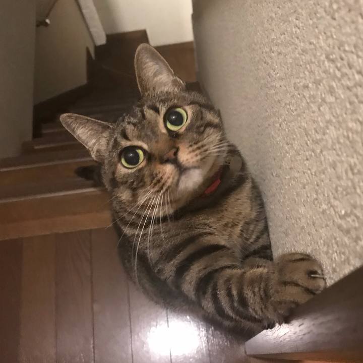 Caedaac3 dcc4 4c45 ae93 9e59fcf5207d 1583333840168