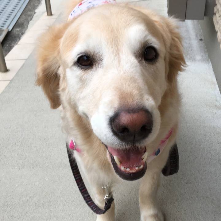 Caedf32d 1b40 4e23 8d56 a4622d5193c5 1560156737663