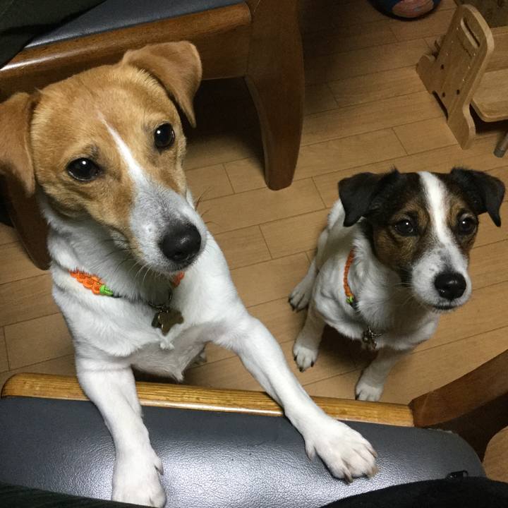 Caee0120 7583 4407 b176 e40a2663d09c 1550399270081