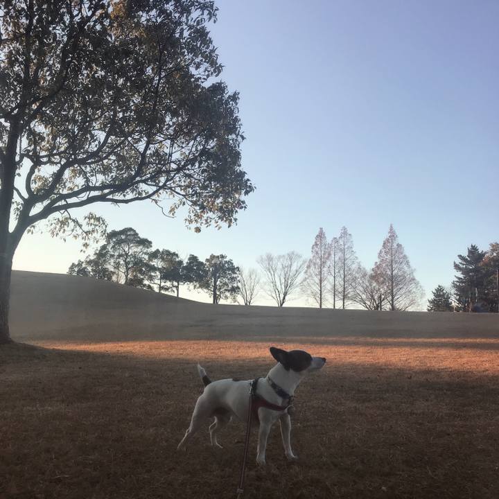 Caee26eb 05aa 4310 8130 3cbed7b63676 1513848103273