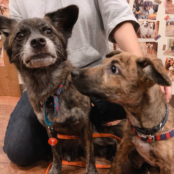 Caee3480 4222 43d7 b045 bb67f60a0c5d 1568992188727