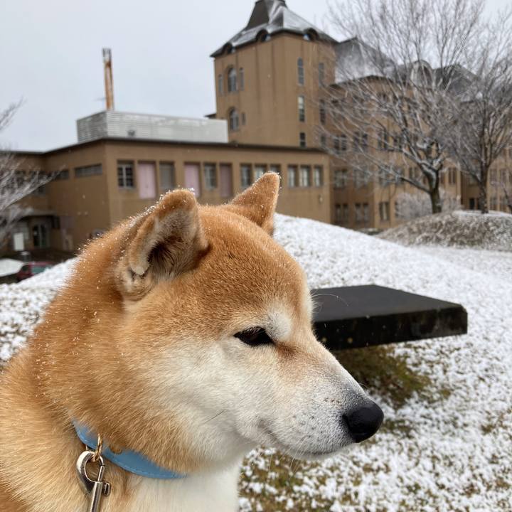 Caee52a2 dffe 46d3 bb89 f3d62b1aadec 1767177520696