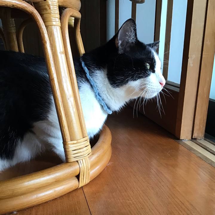 Caee7549 90ba 476f ab1e ff9fb88db60b 1661347577783