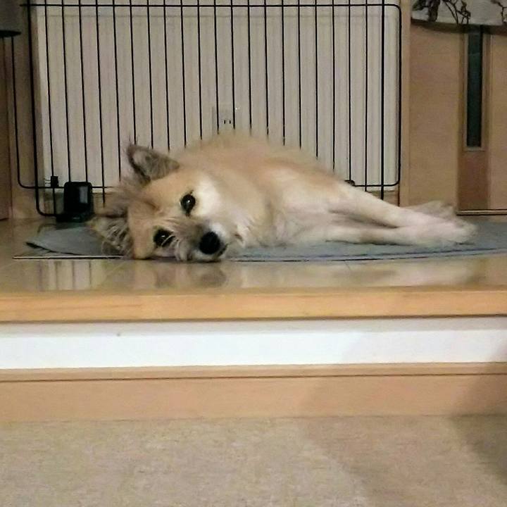 Caee823a d62c 4efe b12c 067edccc0715 1509242148960