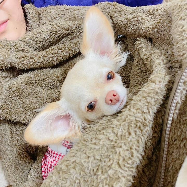 Caeee74c 5d3e 44d3 8e4d 381c86b1a630 1614243327423