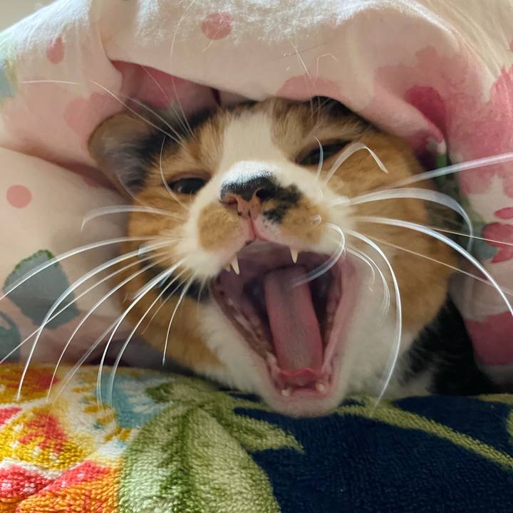 Caeefb26 febd 42c5 bd72 8ce5b5728176 1608105340300