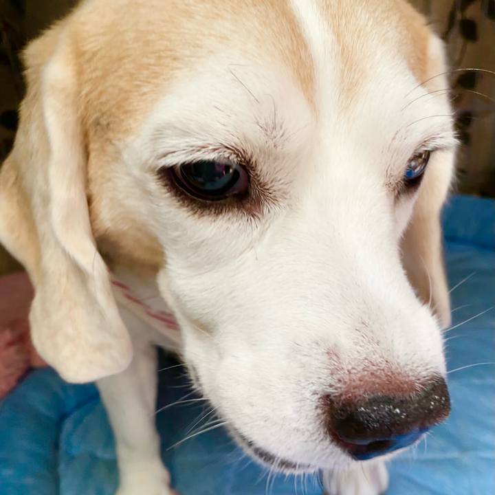 Caef5b06 4c05 4532 9546 be76687a7ee6 1630209060792