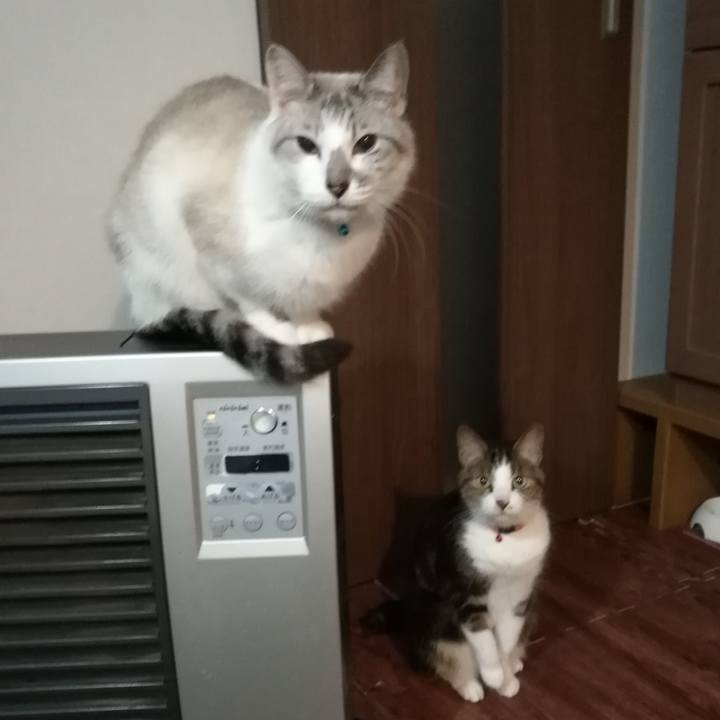 Caef5ee5 bff7 4efc ba81 3b1fb7c23201 1552890445058