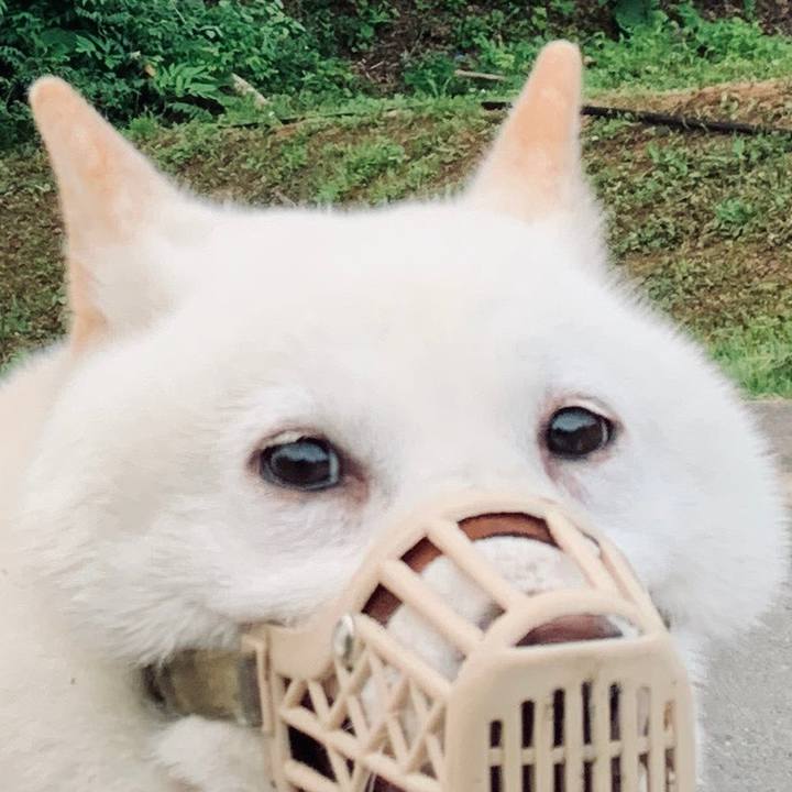 Caefaf14 f2c5 44d1 a282 64db03b57e2a 1595018929789