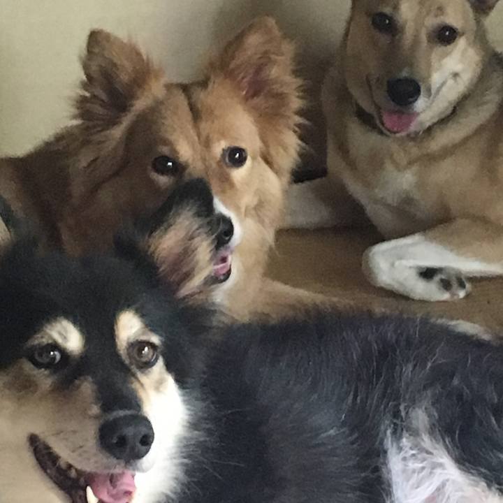 Caefdfe5 f922 4abb b099 4748612c422c 1532914161747