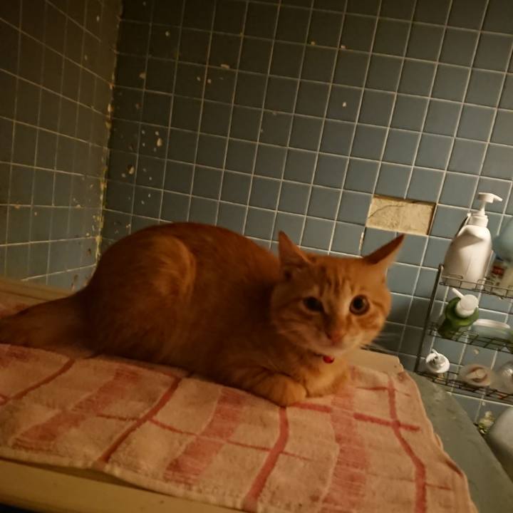 Caf058e6 8594 4593 9436 cb9a3c463b70 1633600021740