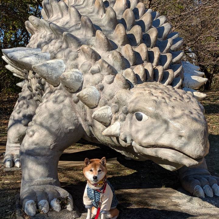 Caf087bc 76cf 49a6 9832 3edde6279dd2 1734619700526