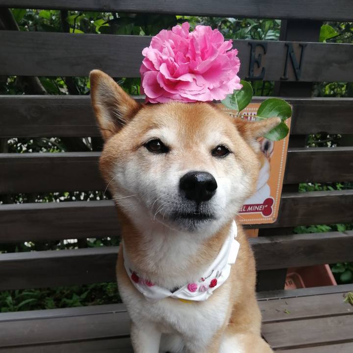 Caf08b41 566b 484e 832b 1d906c33e7c3 1686019335562