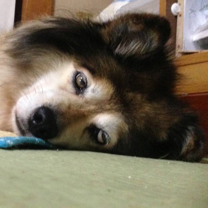 Caf08f4c d470 400d 937e 8f948c0518f1 1620544359443