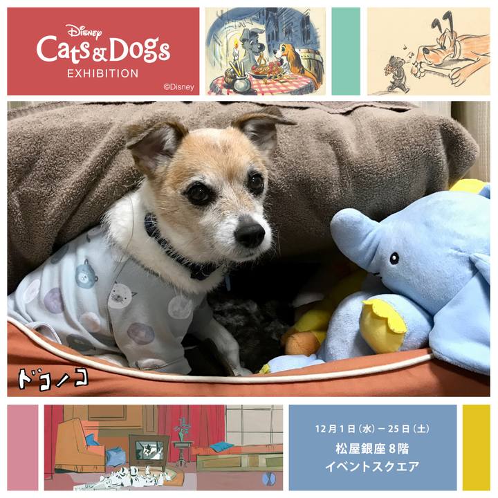 Caf14a99 4ef0 403b b101 6e63a71412cd 1638330026932