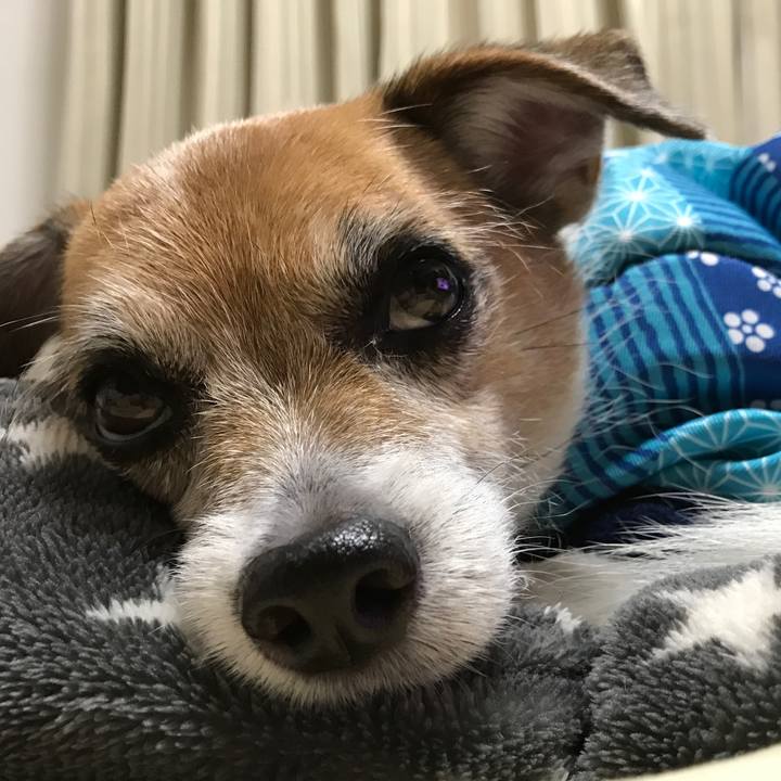 Caf2005c 37dd 4515 a6e1 ed93a808cd1d 1576071144603