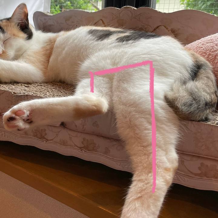 Caf20fa9 653b 49cd ba10 f7be774df77d 1686522550783