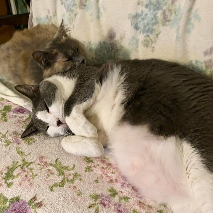 Caf26856 dd8d 493a af14 051452e75018 1758547800421