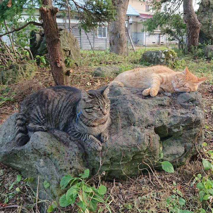 Caf28d2a cb40 4ab8 876d 433cd6801044 1658394504775