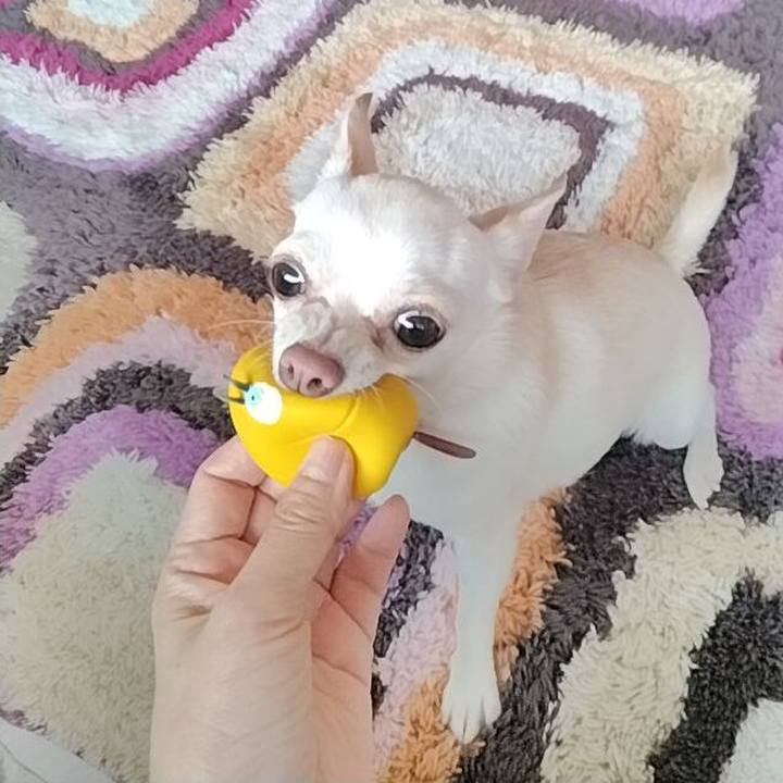 Caf2c1d8 fbbd 4777 b4ea 6a4e79ab1347 1748054304093