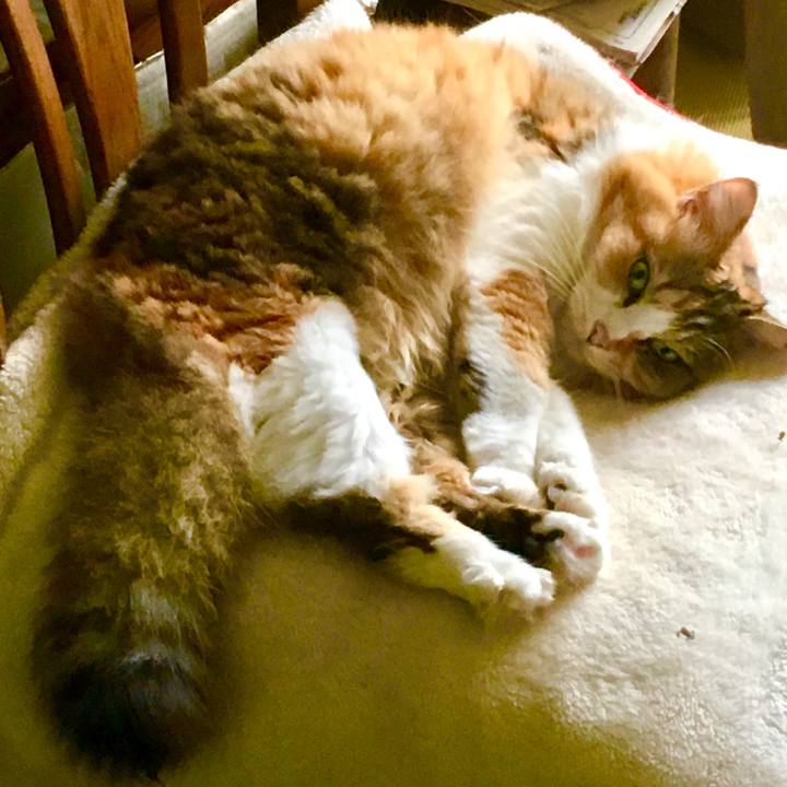 Caf2c9cc 09e5 4448 bdfc 7a811b6ee54e 1554331723923