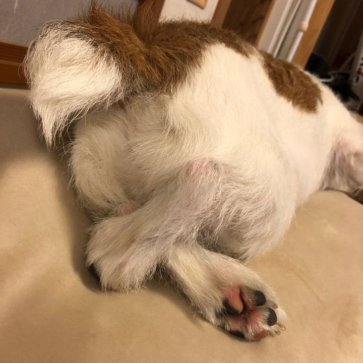 Caf3346c 6429 48eb 840c 8dcc0576da76 1595598754940