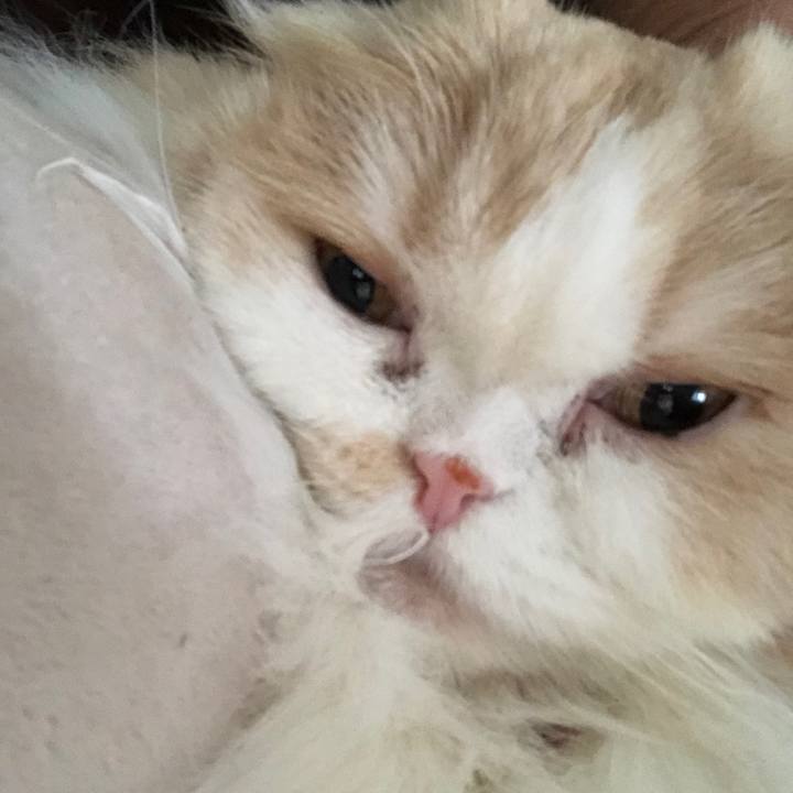 Caf33b17 36a4 4865 a152 c53fee37b927 1647382151902