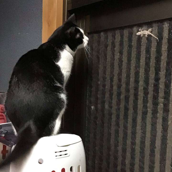 Caf343a7 6f86 4de1 a207 758a3eb8e4a9 1724062811671