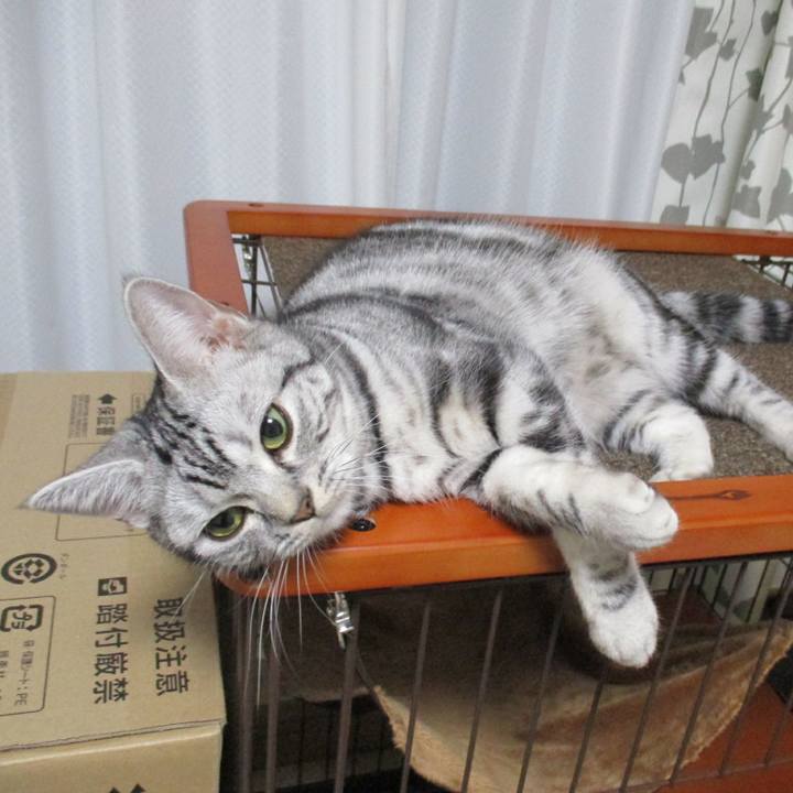 Caf3457f 2d73 4345 853f 44b65aaa6892 1549634736716