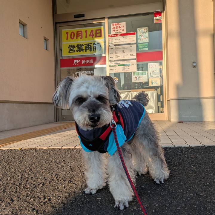 Caf36816 40db 4d21 9bc4 e602dc487710 1760315749394