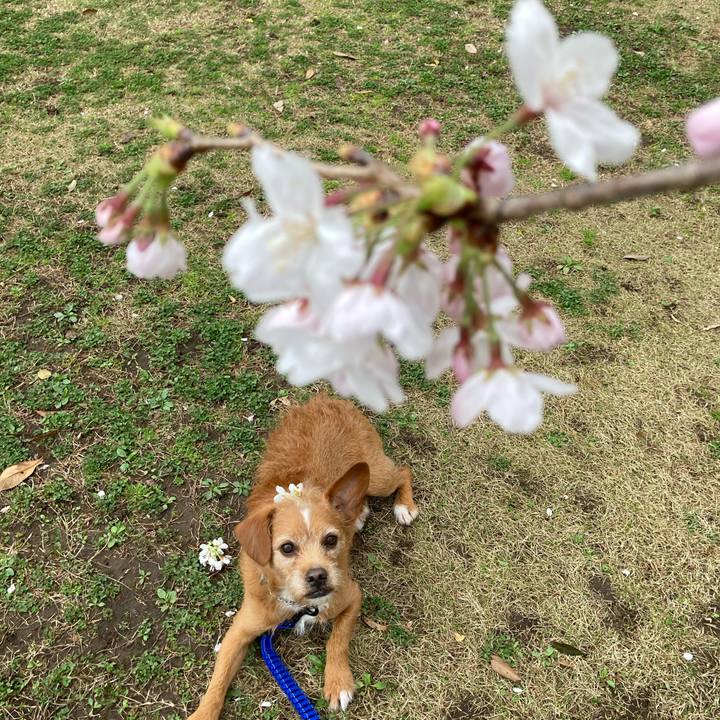 Caf36d4b 9abe 4163 8693 1bba445b5c13 1616376641876