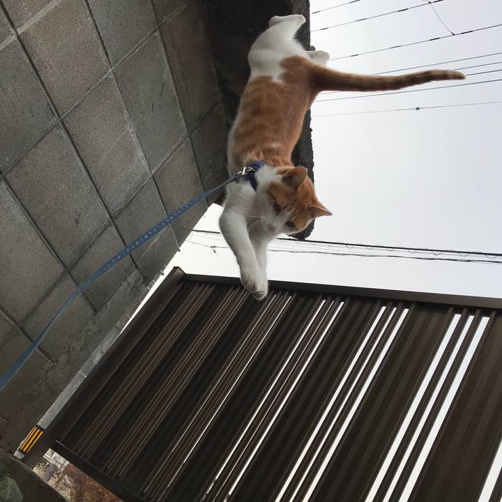 Caf3a846 a208 4453 88b7 e6aa117ae340 1512357105118