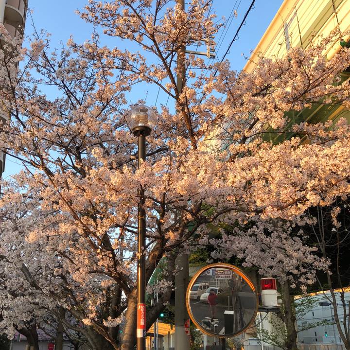 Caf3bbb1 9d3e 4599 a44e fb315b9d0e8c 1554333459499