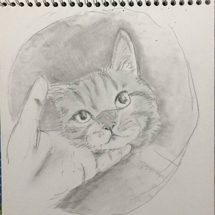 Caf404c9 acfc 467c 9e64 c8f7dd4dce40 1653657173027