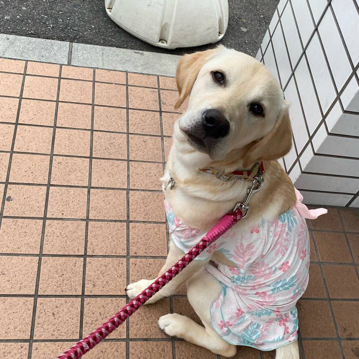 Caf40eb9 51a8 4229 b7b8 65056de256cb 1619831678728