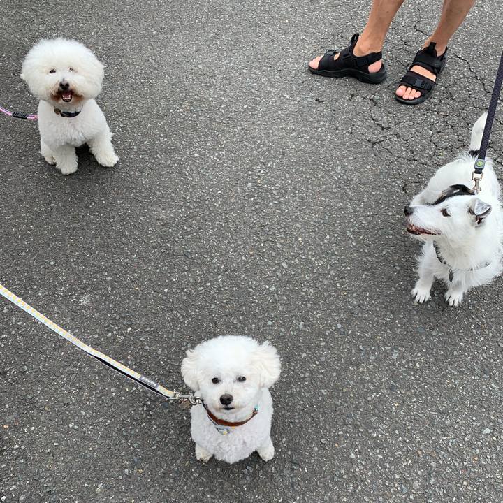 Caf43d2f 6dd8 460d a709 d1dd8ff7503c 1718497594060