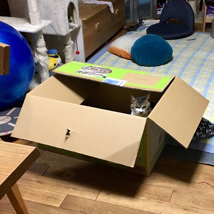 Caf4af30 1e51 4177 a27a 0fa6daf3ea87 1534688705643