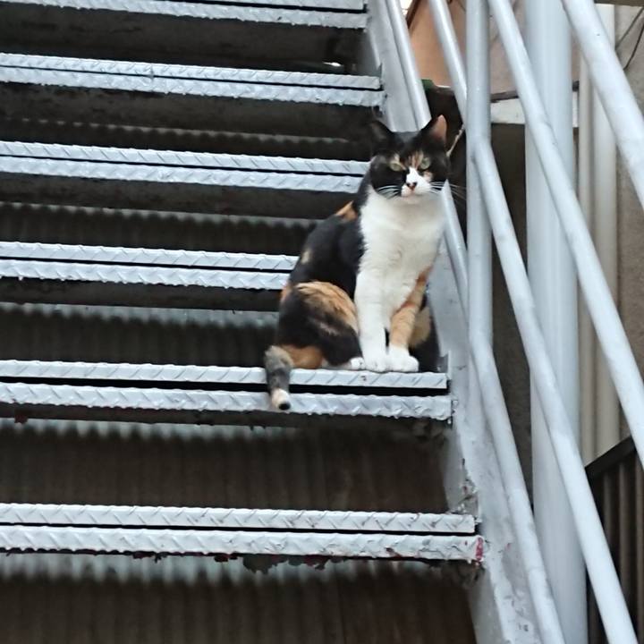 Caf4b0df ffd6 4e49 9804 76bdcb657c54 1633845051254