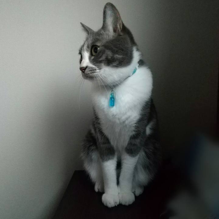 Caf4c283 8053 4555 ad41 7a06f3b23cfa 1639708847388