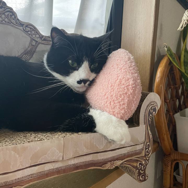 Caf4c629 2a1c 40f8 9ac2 b171766dd0b9 1688769863140